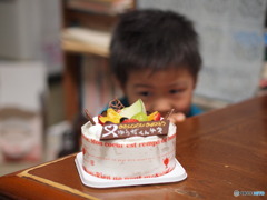 ４歳になりました。