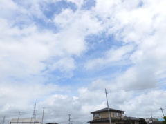 雲