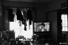 Ｘ１００最初の写真