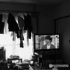 Ｘ１００最初の写真