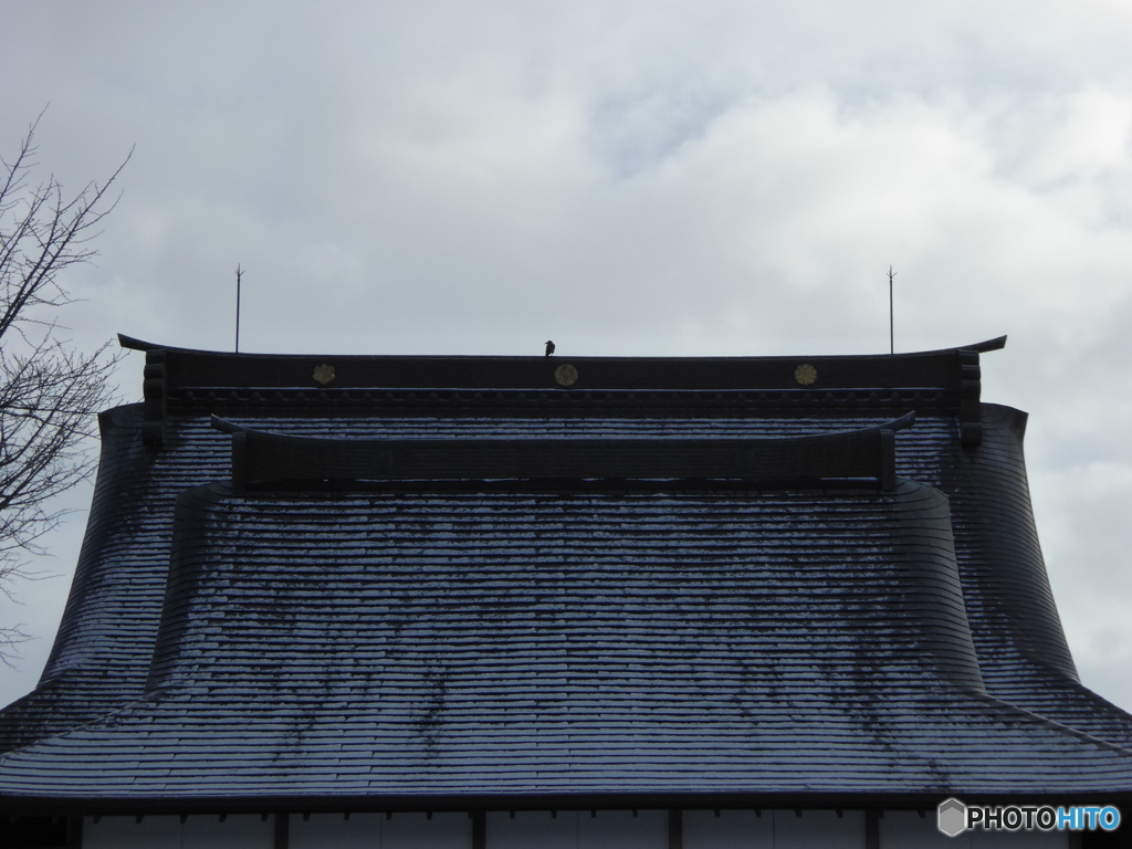 屋根の上のカラス