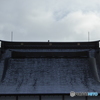 屋根の上のカラス
