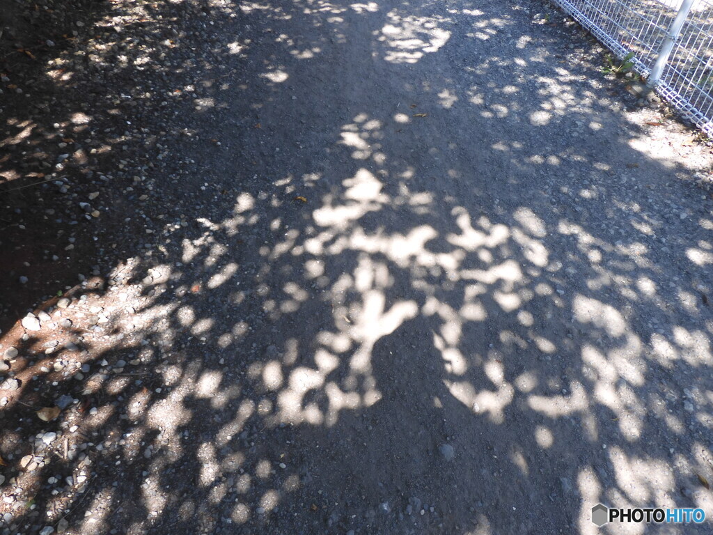 暑い