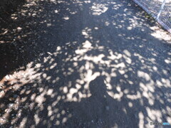 暑い