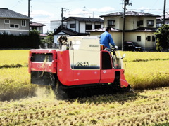 時機到来