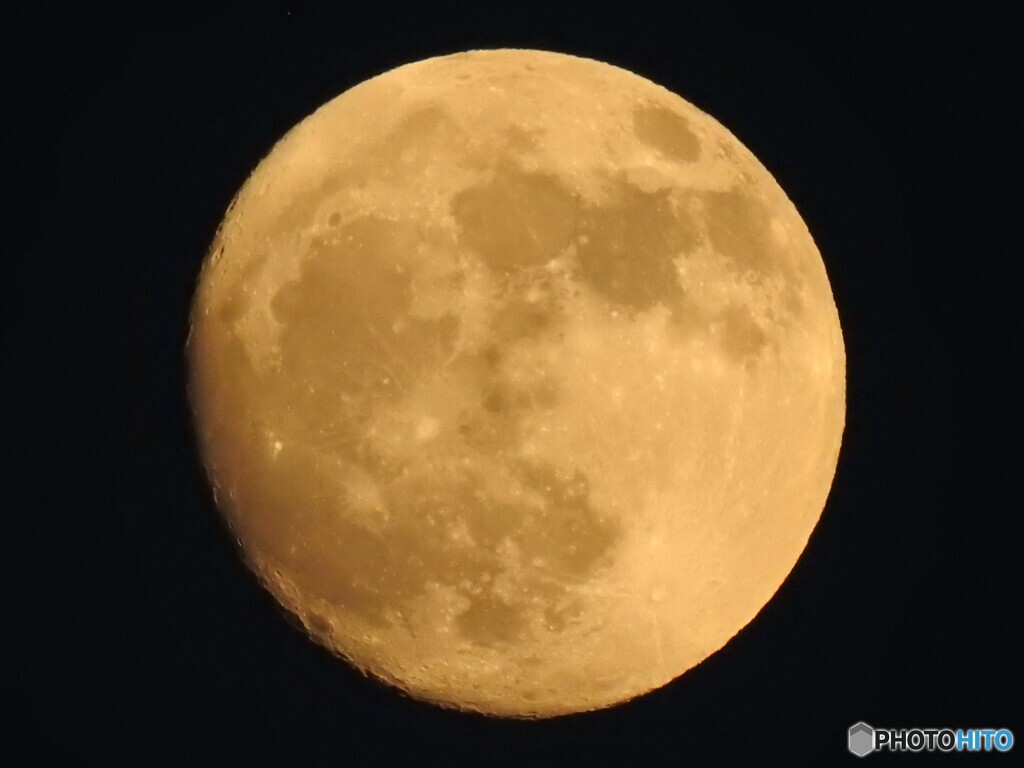 撮り立ての月