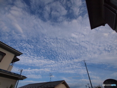 梅雨の晴れ間