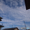 梅雨の晴れ間