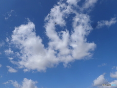 雲