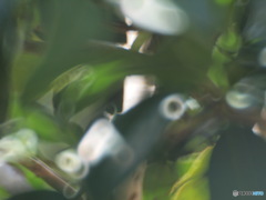 無謀