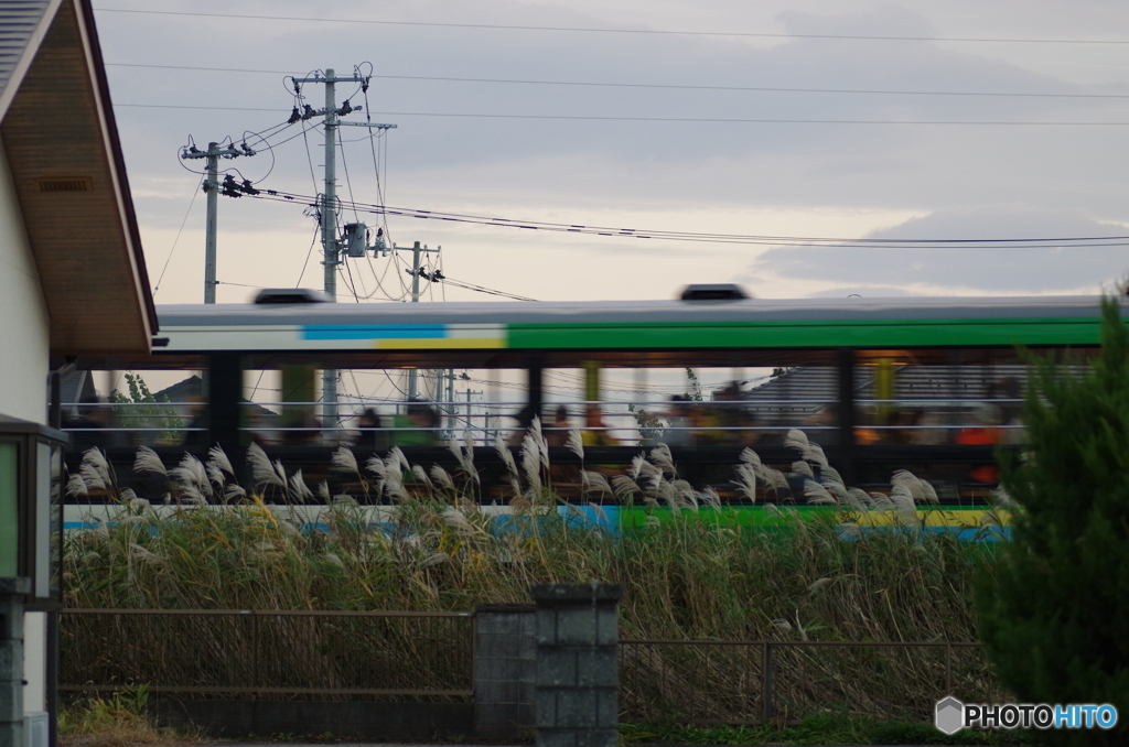風っ子