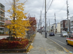 色づく街角