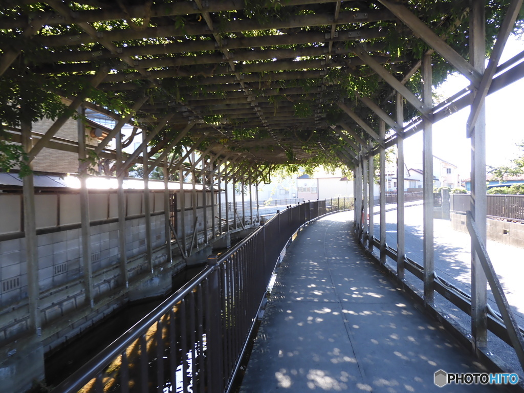 緒絶川