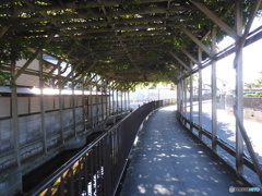 緒絶川