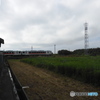 陸羽東線