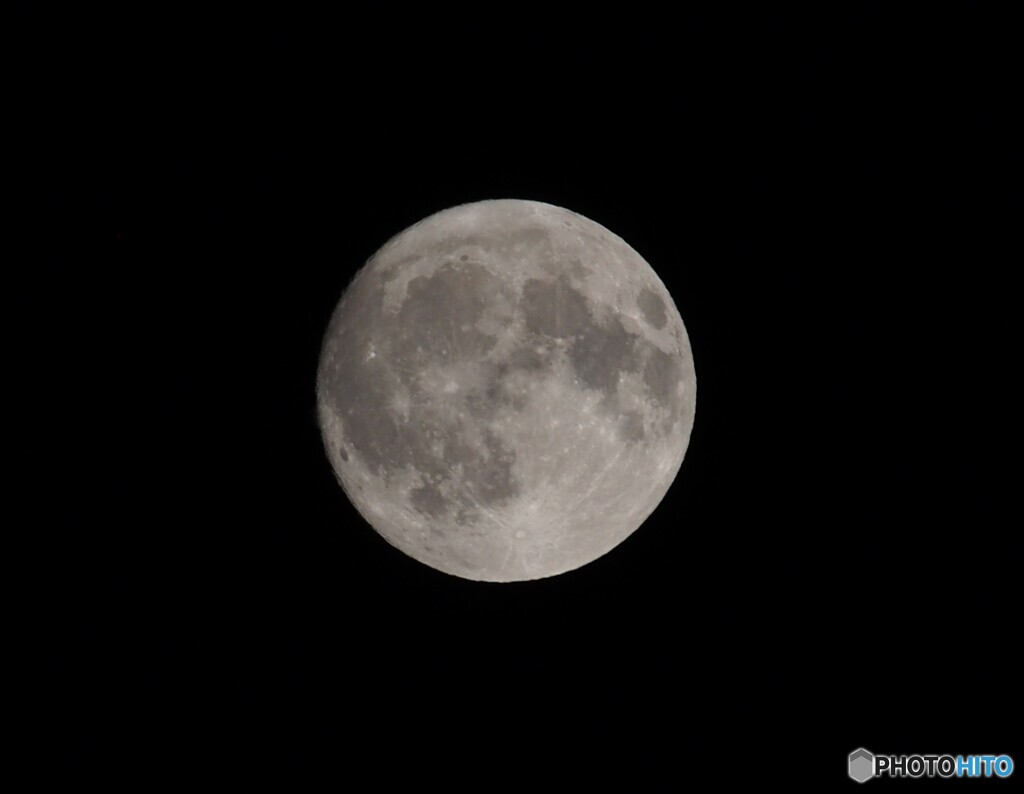 月齢１４.７日