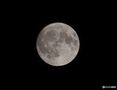 月齢１４.７日