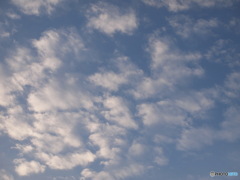 うろこ雲っぽいけど
