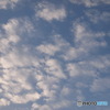うろこ雲っぽいけど