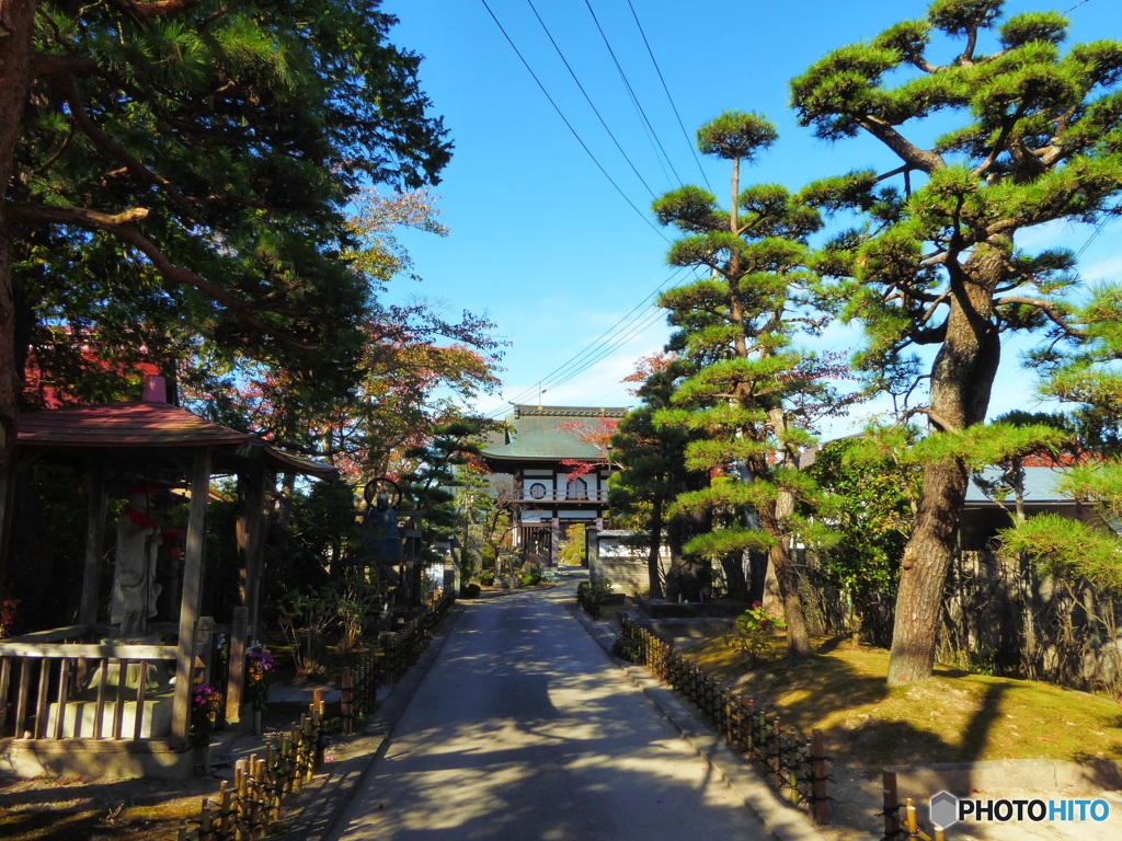 お寺の秋