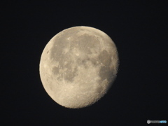 月齢18.6日