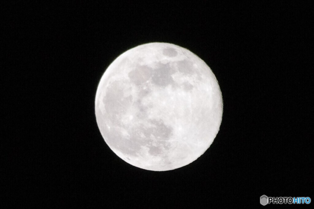 コールムーン　２