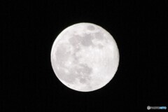 コールムーン　２