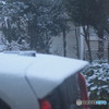 初雪