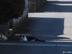 暑い暑い、ここが一番