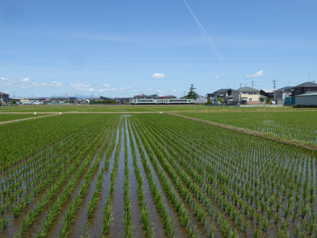 陸羽東線