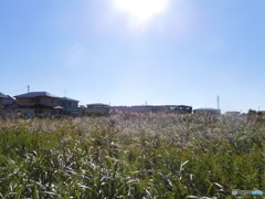 四季島通過