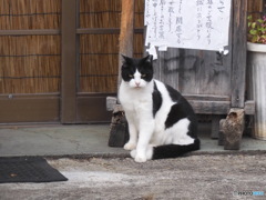 お元気ですか