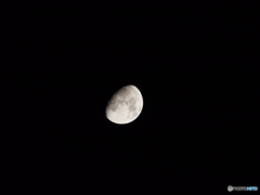 昨日の月ノントリ