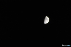 金星は撮れたのか