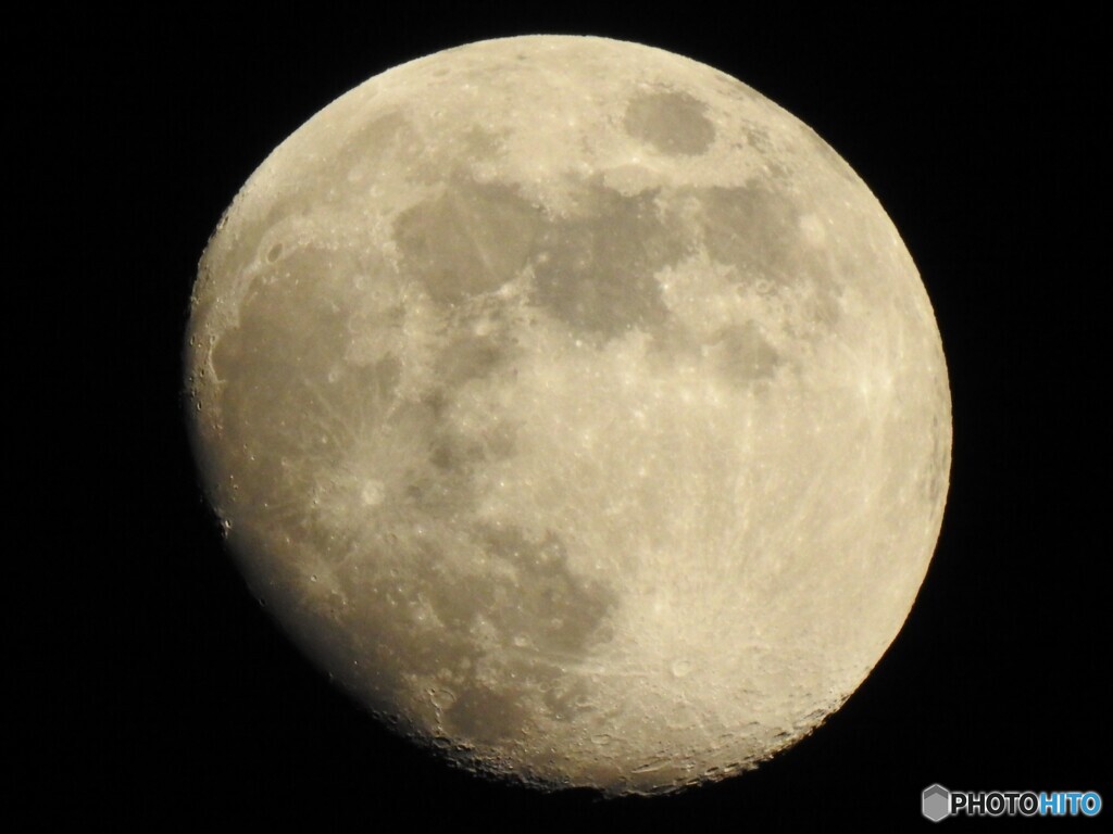 月齢11.5日