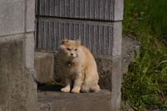 IMGP3723
