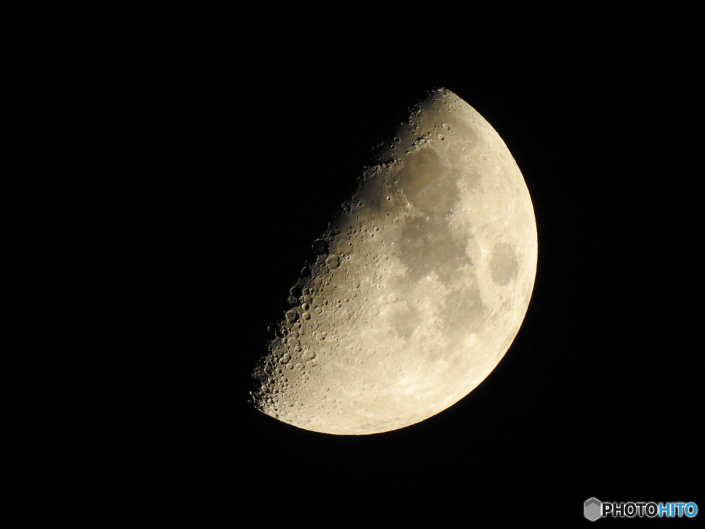 月齢７.５日