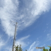 秋の空