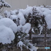 積もったぁ～