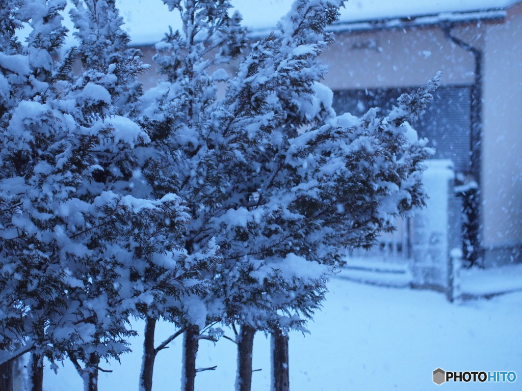 吹雪く