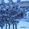 吹雪く