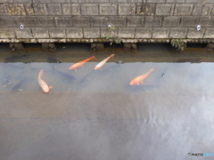 今日も元気！
