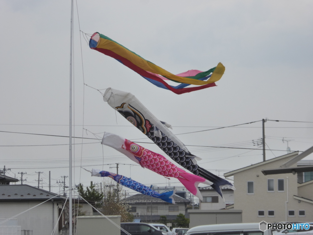 泳ぎづらいなぁ