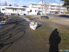 雪だるま　の　なれの果て