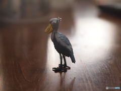 年金が入ったのでつい