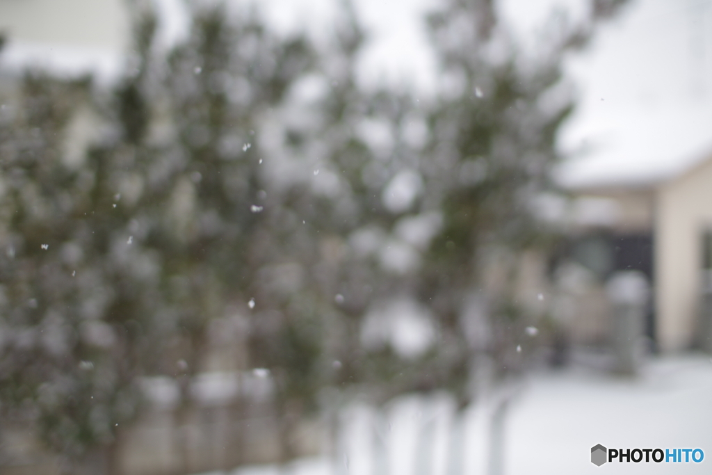 雪