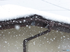降り続ける雪