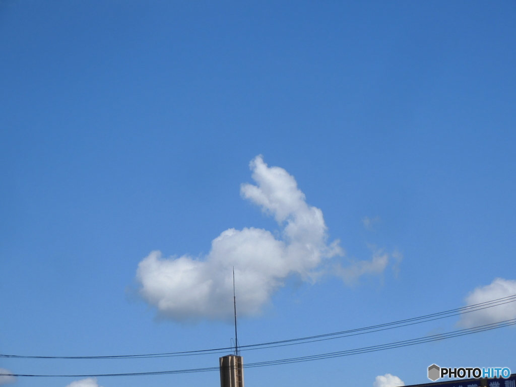 うさぎに見える雲