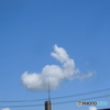 うさぎに見える雲