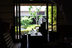 初夏の思い出